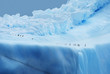 Photo: Penguins on Ice Penguins on Ice