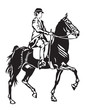 dressage