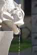 Fontana Fontana