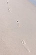 footprints in the sand
