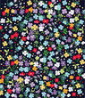 Flower Shower