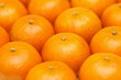 Mandarin orange background