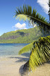 Beautiful beach in Papetoai, Moorea, French Polynesia