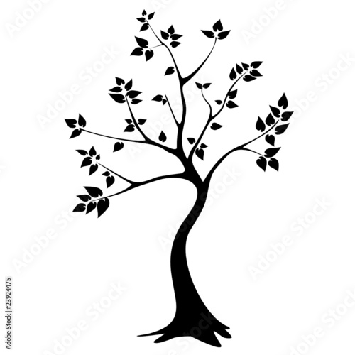 tree silhouette vector. tree silhouette - vector