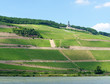 Der Rhein am Niederwald Denkmal