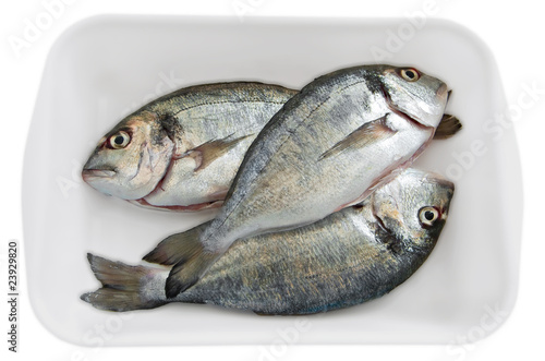 Photo: Fresh fishes. Fresh fishes.