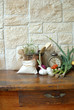 vecchio tavolo in cucina vecchio tavolo in cucina