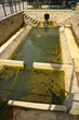 nanto fontana colli berici provincia di vicenza veneto
