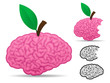 Brain fruit food collection