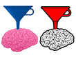 Brain with cone funnel