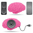 Speaker brain with usb cable