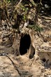 Dried Lake Scenery
