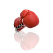 Boxhandschuhe