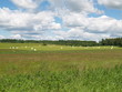 Landschaft in Litauen