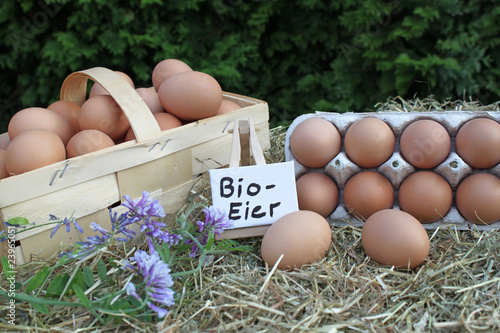 Foto: Bio Eier Bio Eier