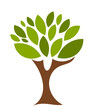Symbolic tree