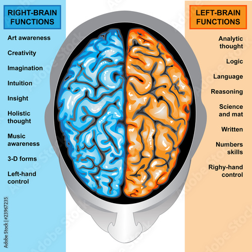 Illustration: Human brain left and right functions Human brain left and right functions