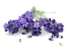 Natur, Aroma