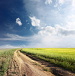 Road
