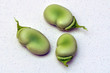 Legumi, fave fresche dell' orto, sgusciate - baccelli