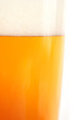 Foto: Beer Drink on White Background Beer Drink on White Background