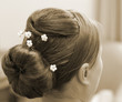 Before the wedding Before the wedding