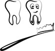 tooth