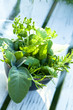 Frische Gartenkräuter
