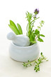 Healing herbs in mortar and pestle Healing herbs in mortar and pestle