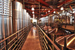 Photo: Wine making equipment Wine making equipment