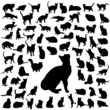 Set of cats silhouette