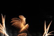 Feu d'artifice