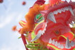 dragon dance