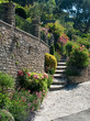Beau mur fleuri Beau mur fleuri