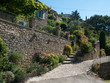 Beau mur fleuri Beau mur fleuri