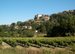 Village de Bonnieux perché sur sa colline devant des vignes Village de Bonnieux perché sur sa colline devant des vignes