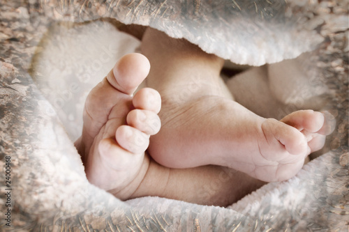 Photo: Baby Feet Baby Feet