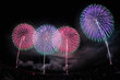 柏崎花火大会 柏崎花火大会