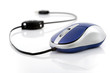 Photo: Blue Mouse Blue Mouse