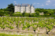 Luynes Castle with vineyard, Indre-et-Loire, Centre, France Luynes Castle with vineyard, Indre-et-Loire, Centre, France