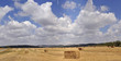 Hay bale in a golden dry field with cloudy blue sky, Israel