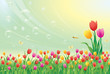 Floral meadow. Tulips Floral meadow. Tulips