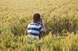 corn field with spica in detail