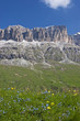 Sellagruppe