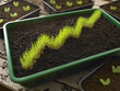 Grass in bin of dirt forming ascending graph
