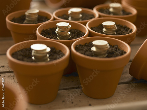 Photo: Stacks of coins growing in flowerpots Stacks of coins growing in flowerpots
