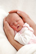 Baby 5