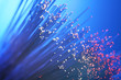 optical fibre optical fibre