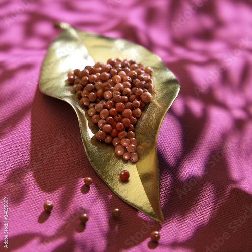 Photo: pink peppercorns pink peppercorns