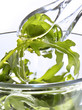 rocket salad